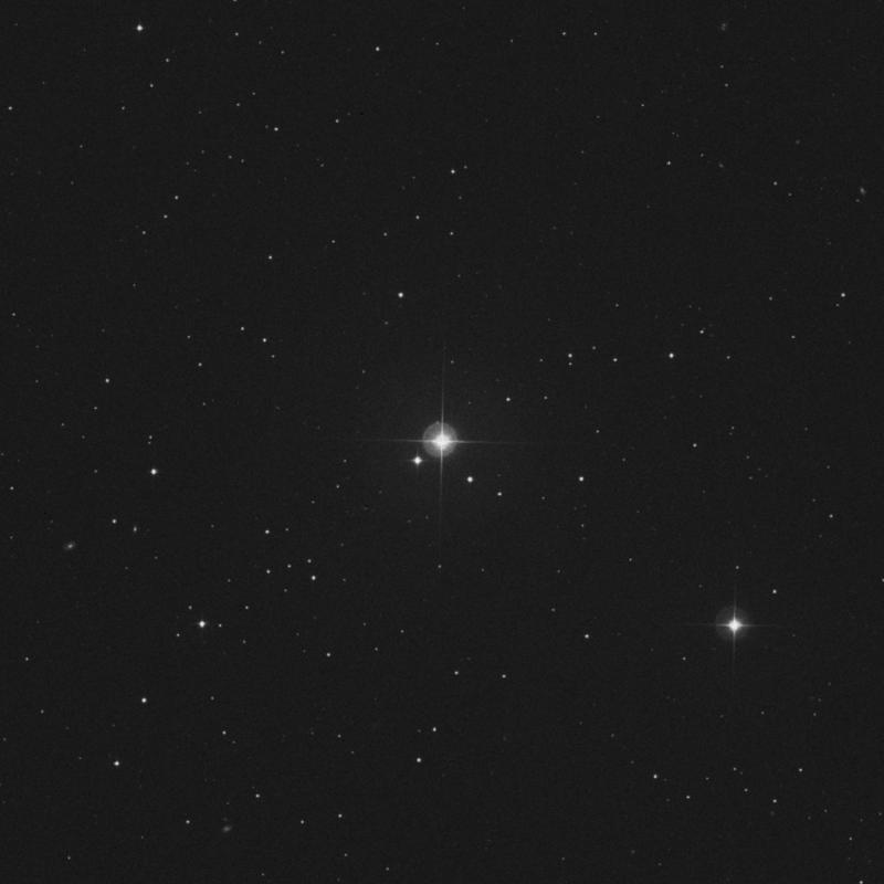 Image of 7 Leonis Minoris star