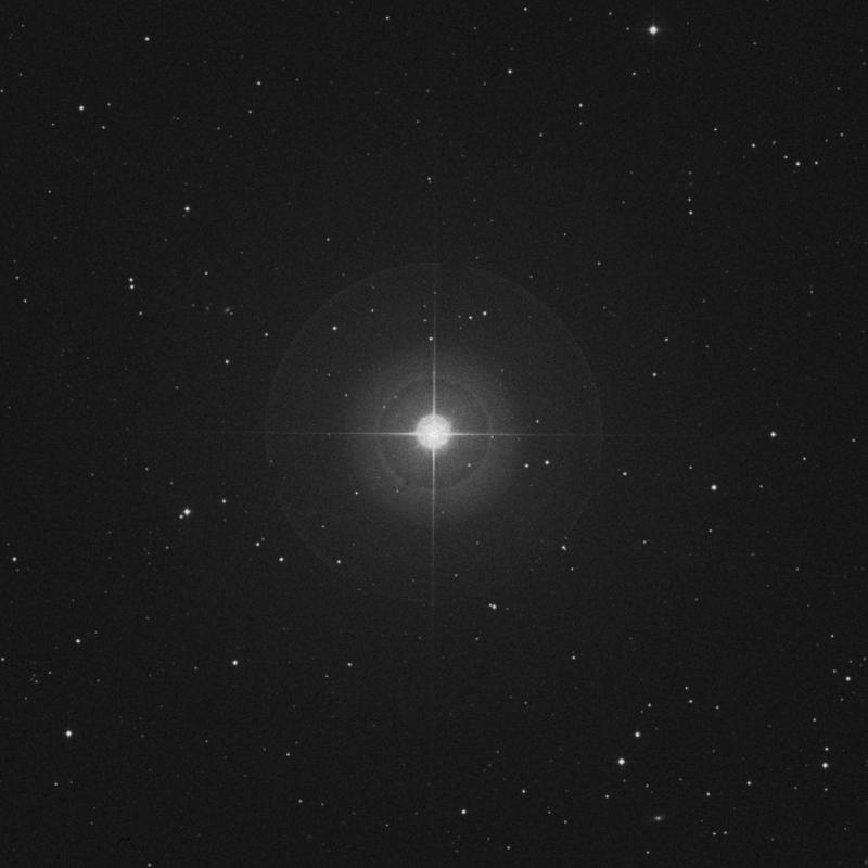 Image of Alterf - λ Leonis (lambda Leonis) star