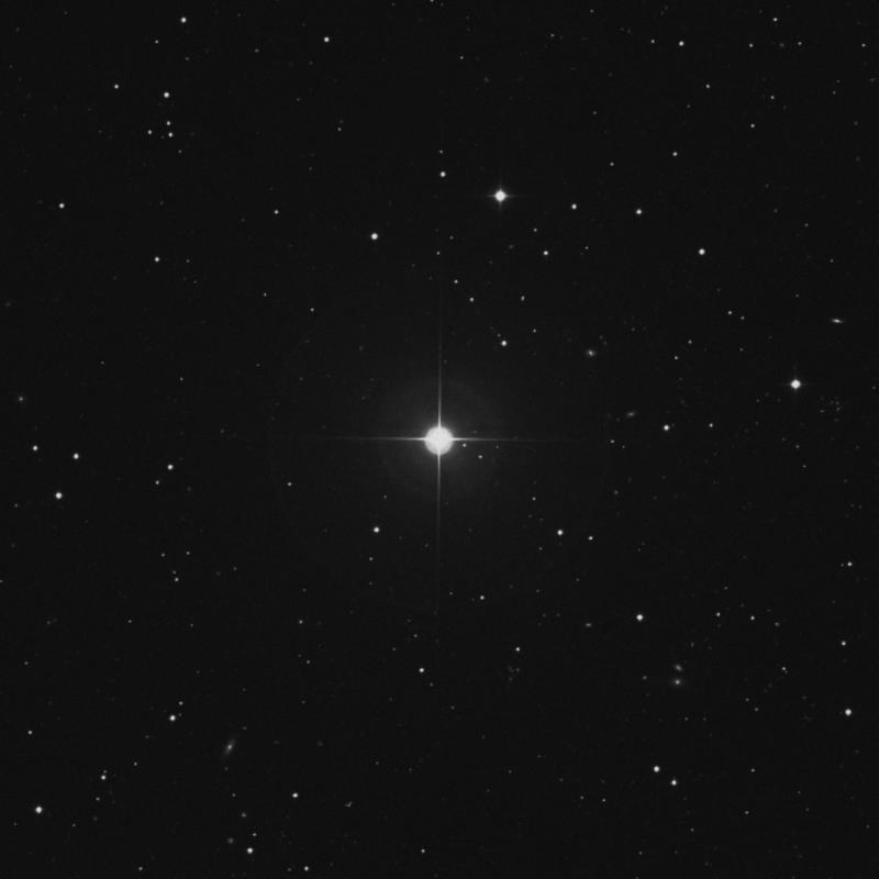 Image of 19 Leonis Minoris star