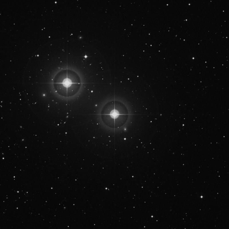 Image of ρ Piscium (rho Piscium) star