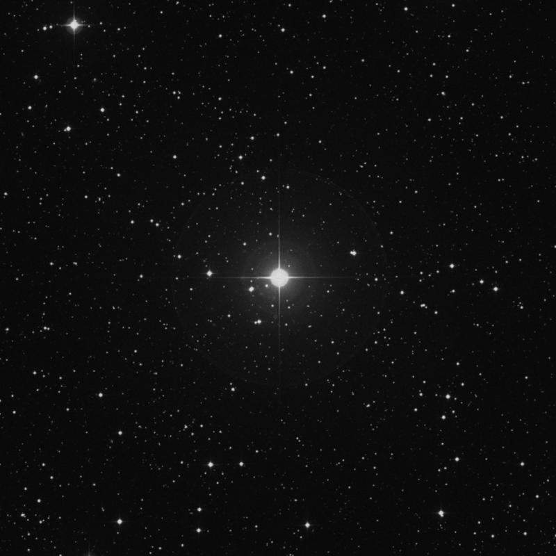 Image of ω Andromedae (omega Andromedae) star