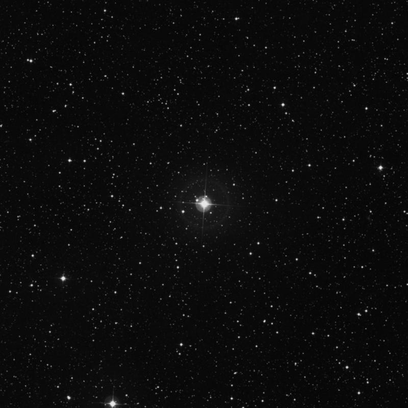 Image of 38 Cassiopeiae star