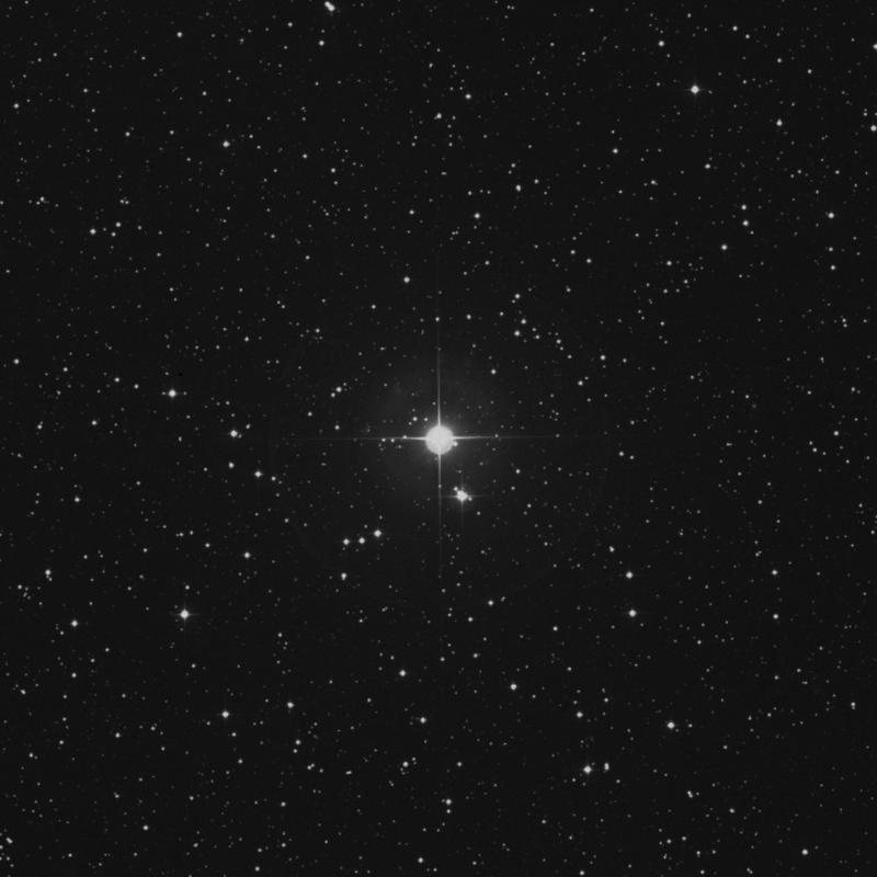 Image of 49 Andromedae star