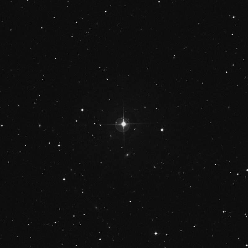 Image of HR431 star