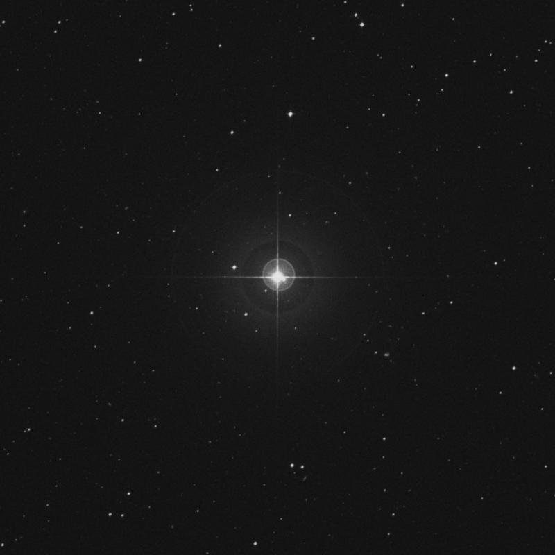 Image of 48 Ceti star