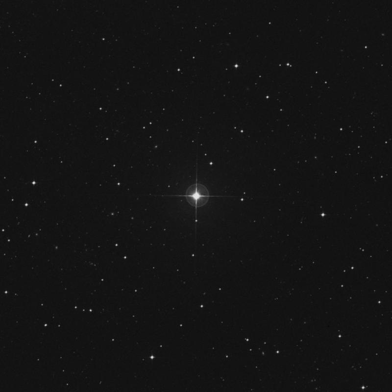 Image of HR443 star