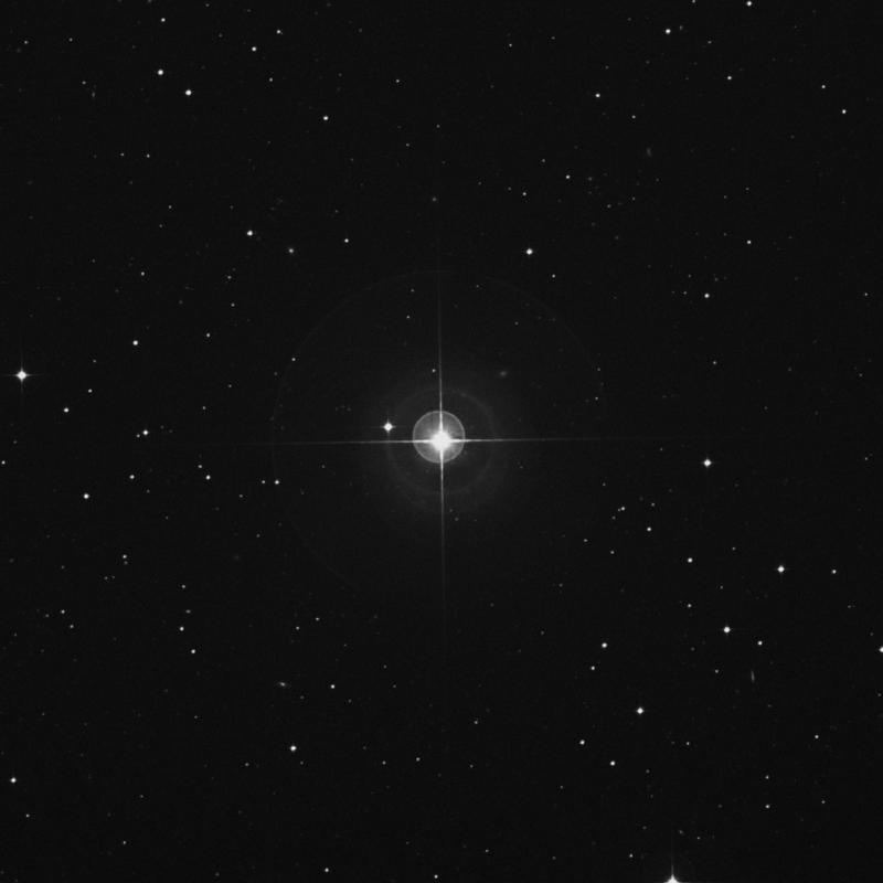 Image of HR445 star