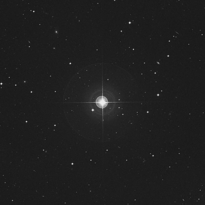 Image of 50 Ceti star