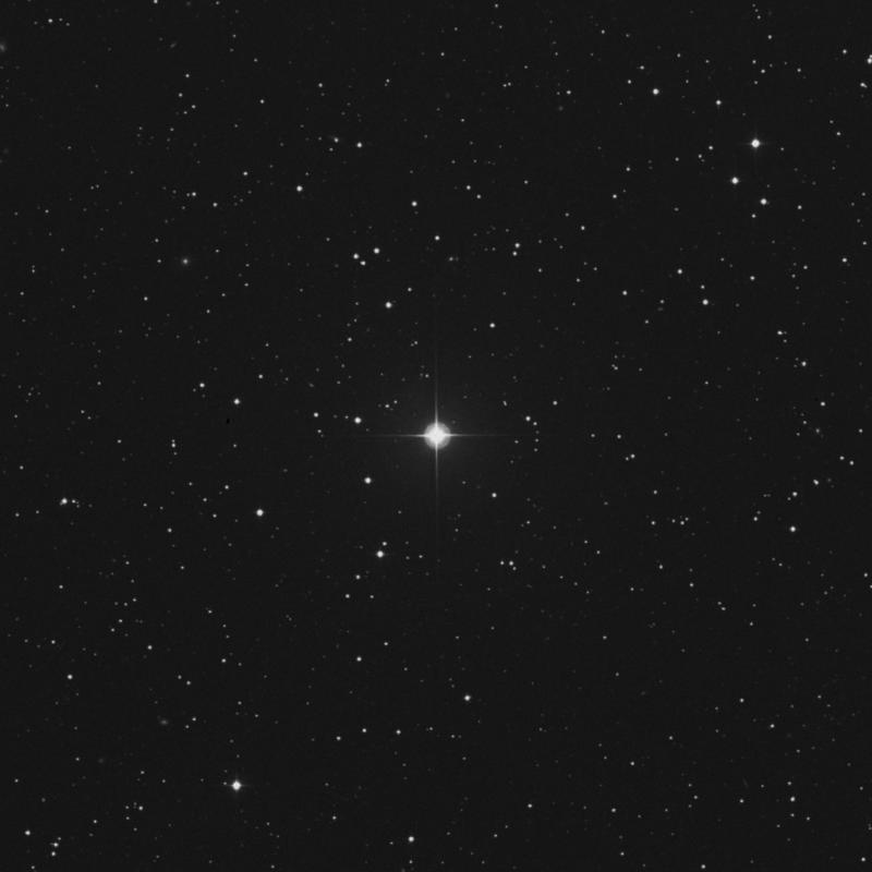 Image of HR490 star