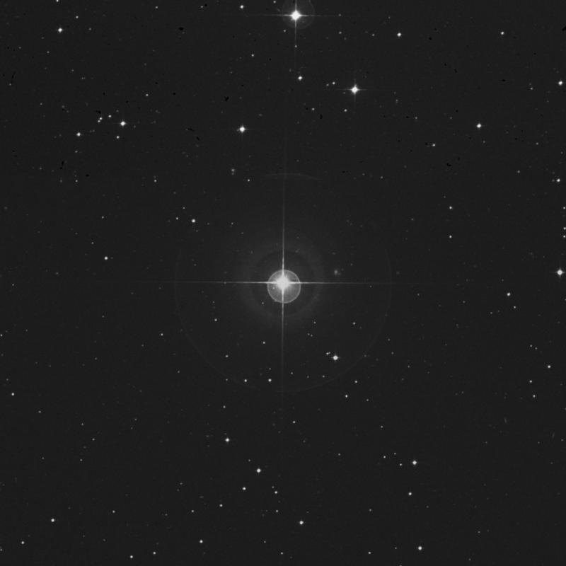 Image of π Sculptoris (pi Sculptoris) star