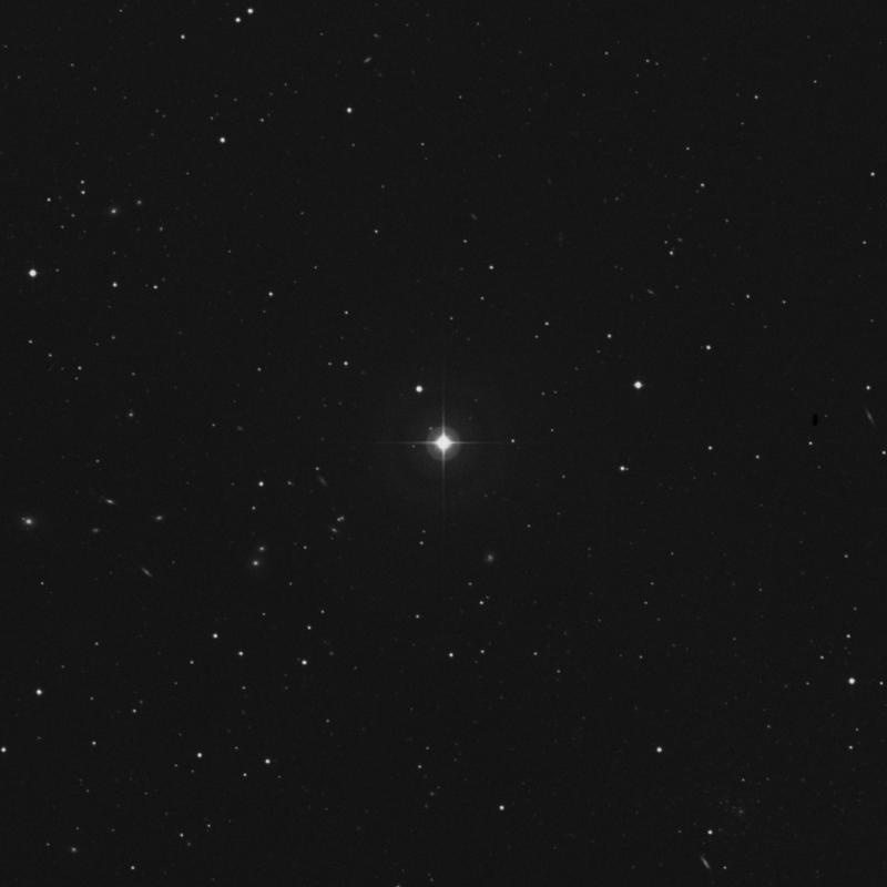 Image of 42 Leonis star