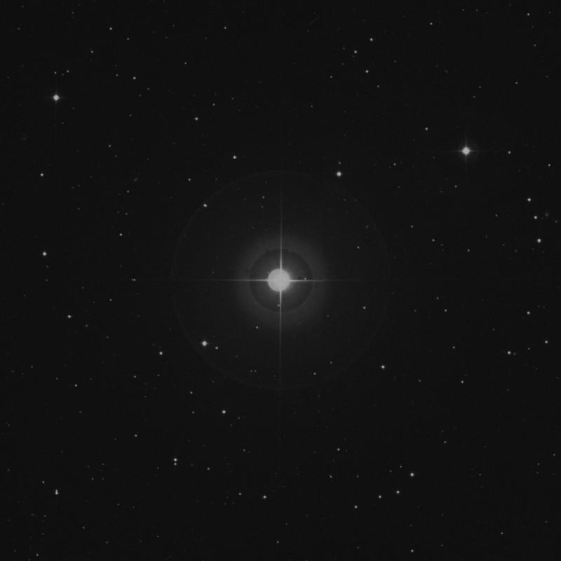 Image of ρ Leonis (rho Leonis) star