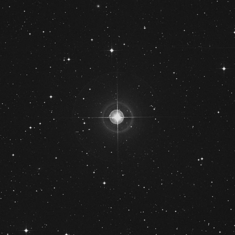 Image of φ2 Hydrae (phi2 Hydrae) star
