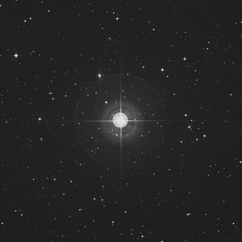 Image of φ3 Hydrae (phi3 Hydrae) star