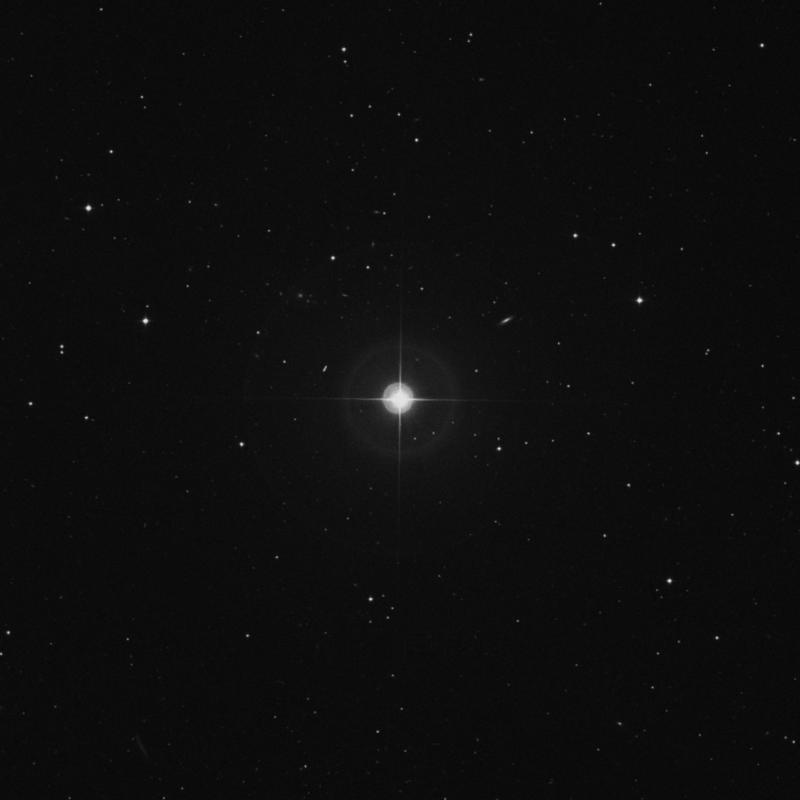 Image of 51 Leonis star