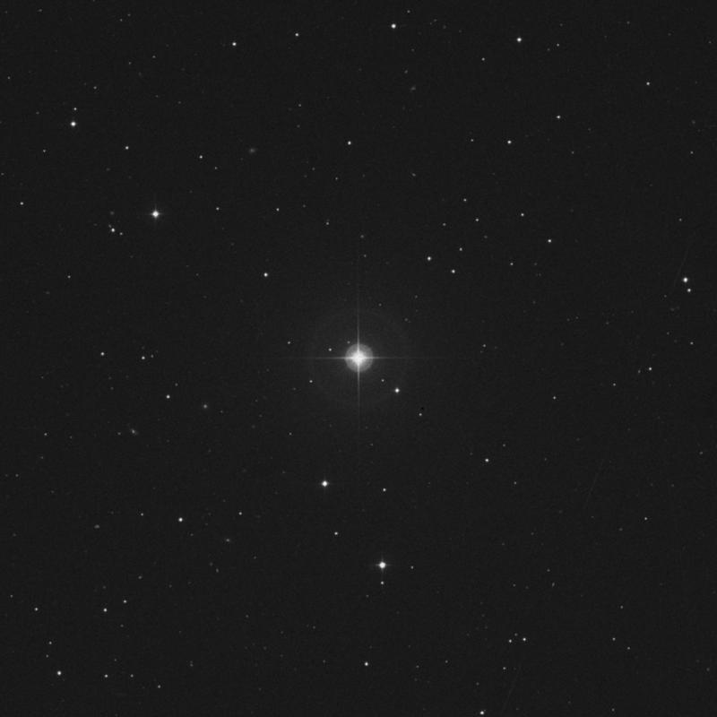 Image of 43 Leonis Minoris star