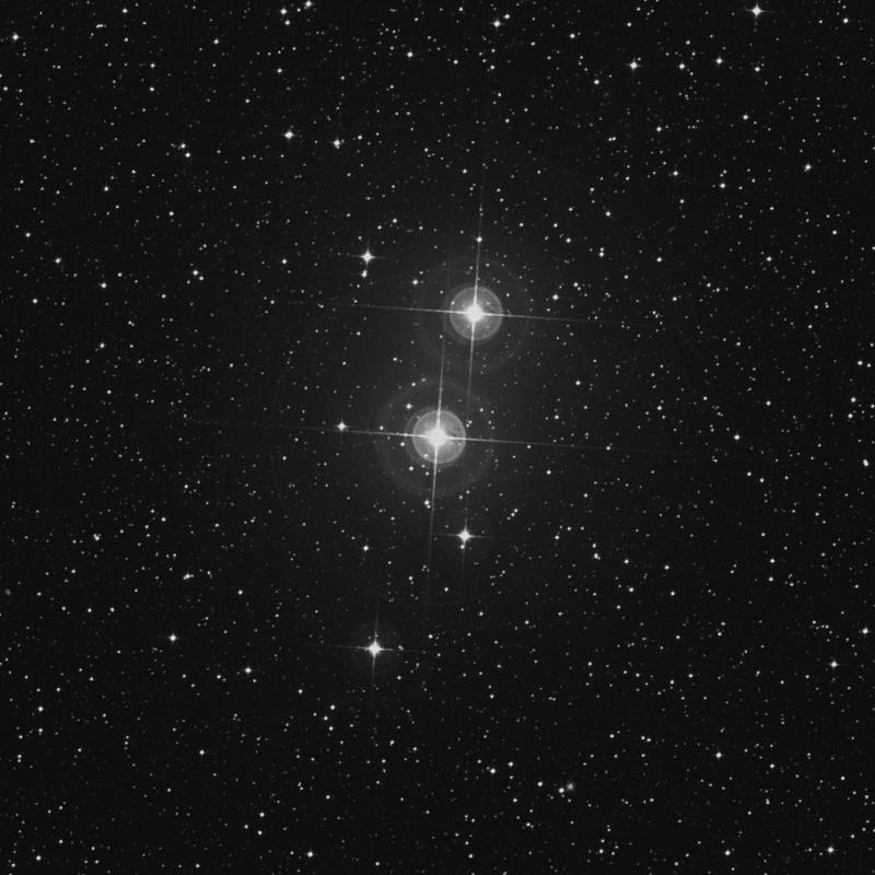 Image of δ2 Chamaeleontis (delta2 Chamaeleontis) star
