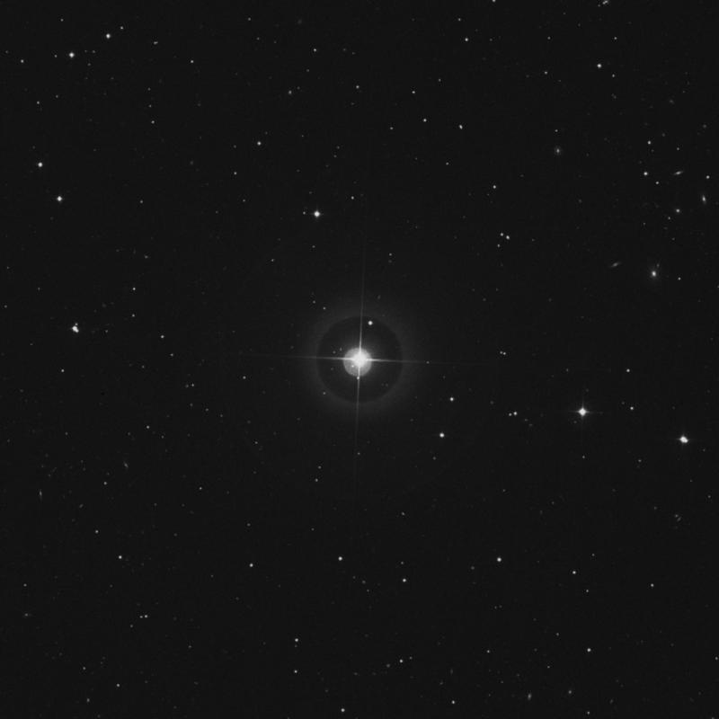 Image of 43 Ursae Majoris star