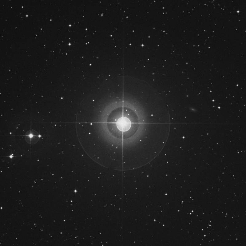 Image of Alkes - α Crateris (alpha Crateris) star