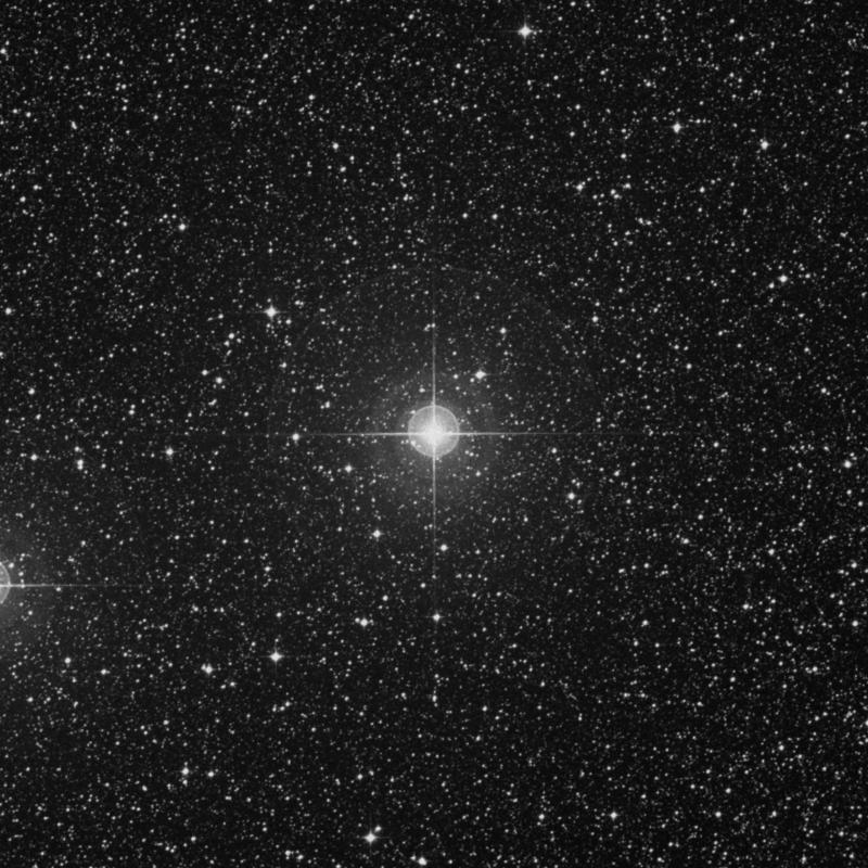 Image of λ Muscae (lambda Muscae) star