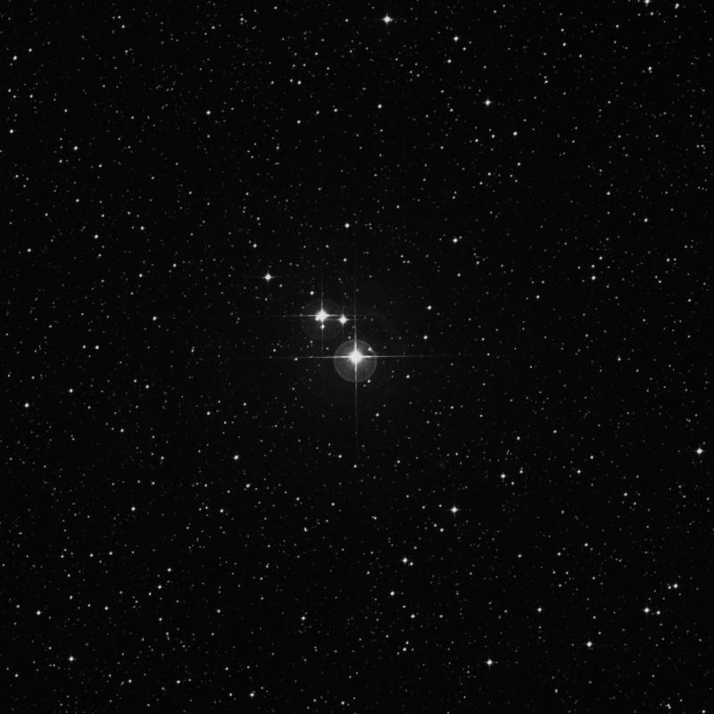 Image of ε Chamaeleontis (epsilon Chamaeleontis) star