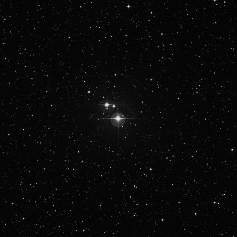 Image of ε Chamaeleontis (epsilon Chamaeleontis) star