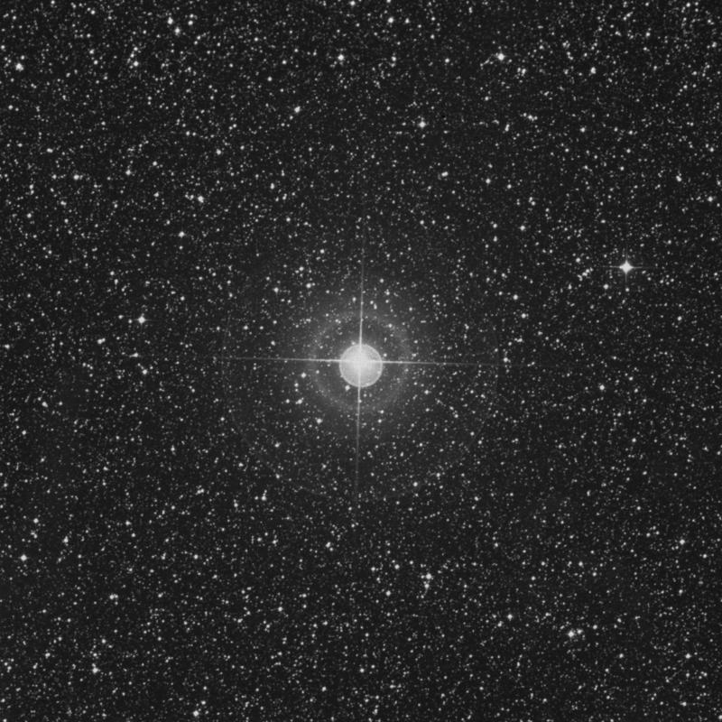 Image of ε Muscae (epsilon Muscae) star