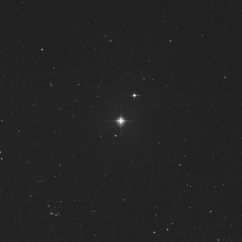 Image of 7 Canum Venaticorum star