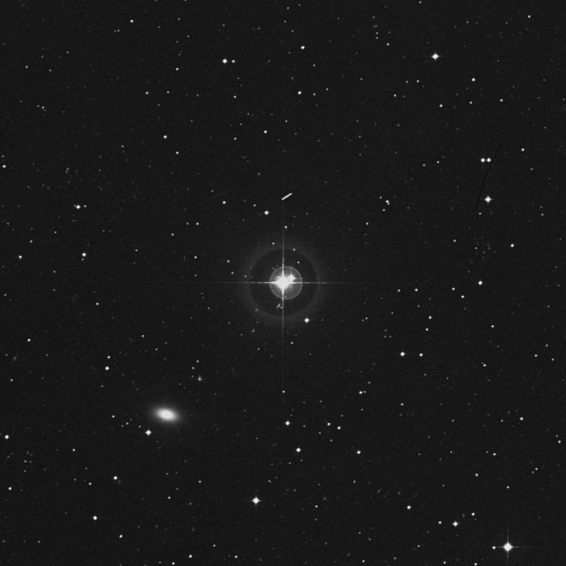 Image of HR4877 star