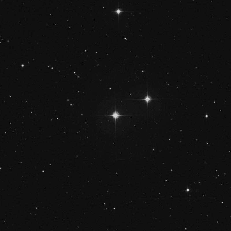 Image of 17 Canum Venaticorum star