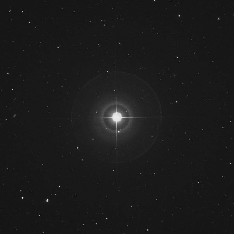 Image of β Comae Berenices (beta Comae Berenices) star