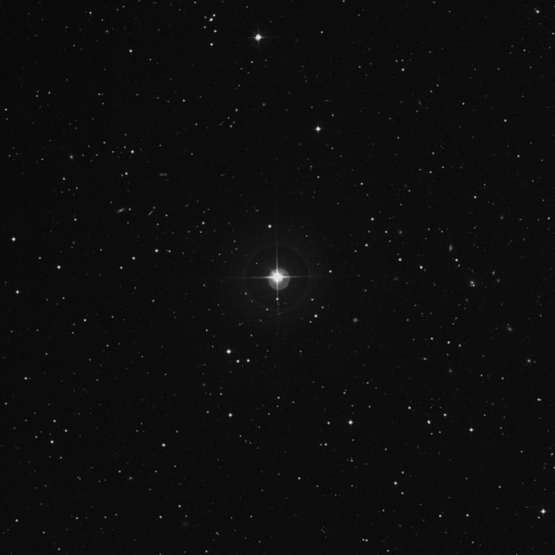 Image of HR503 star