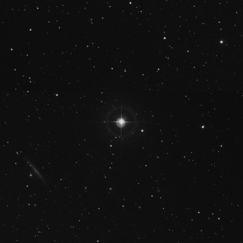 Image of HR523 star