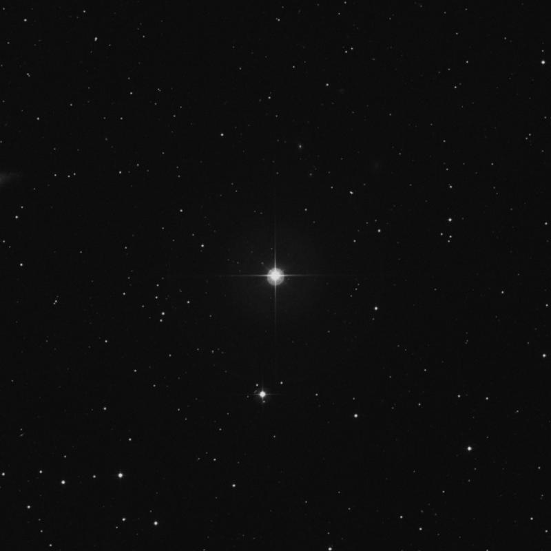 Image of 1 Arietis star