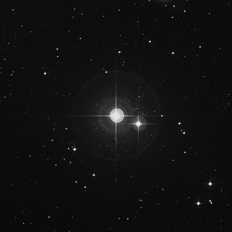 Image of χ Ceti (chi Ceti) star