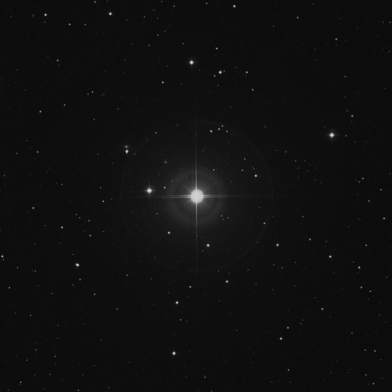 Image of γ1 Arietis (gamma1 Arietis) star