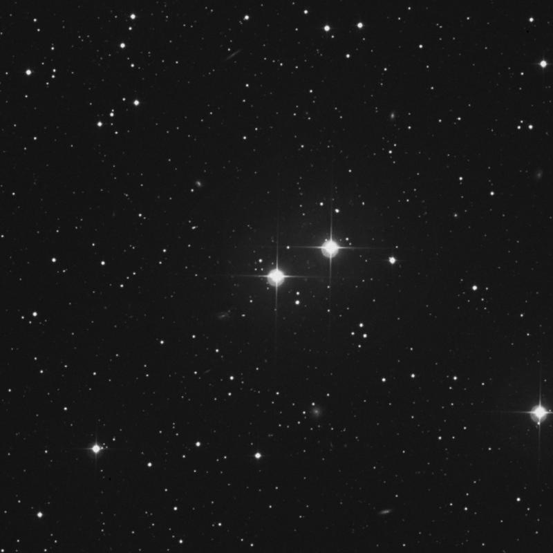 Image of 56 Andromedae star