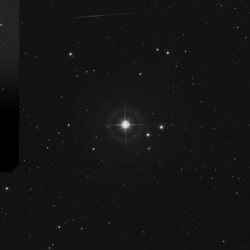 Image of ι Arietis (iota Arietis) star