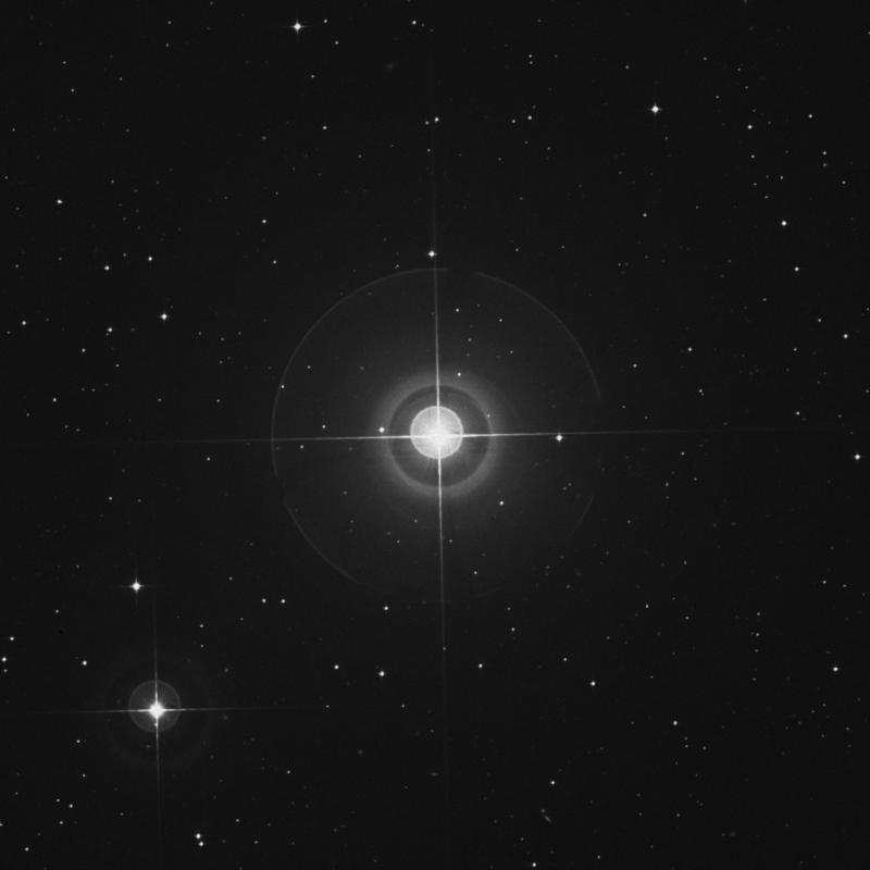 Image of χ Eridani (chi Eridani) star