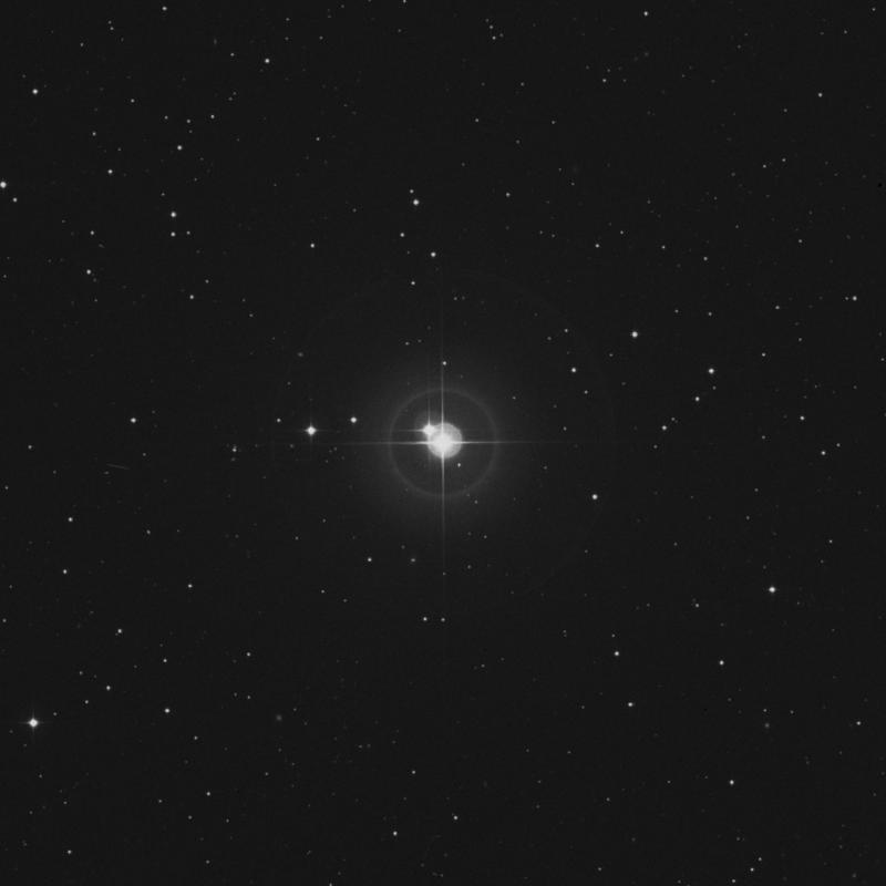 Image of λ Arietis (lambda Arietis) star