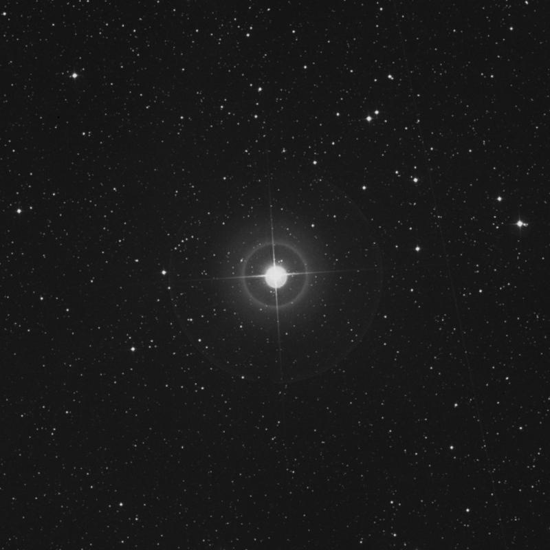 Image of 50 Cassiopeiae star