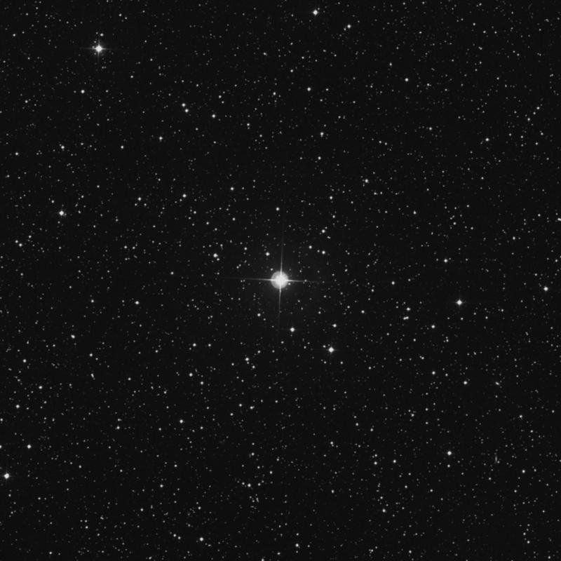 Image of 4 Persei star