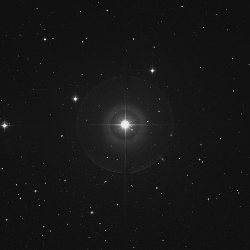 Image of Alrescha - α Piscium (alpha Piscium) star