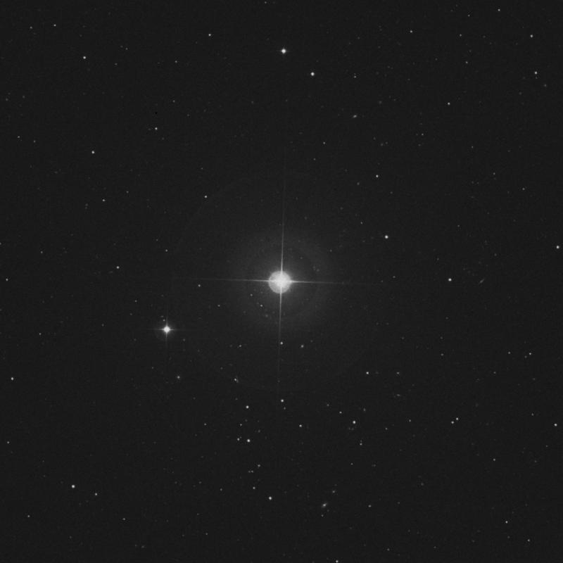 Image of 20 Canum Venaticorum star