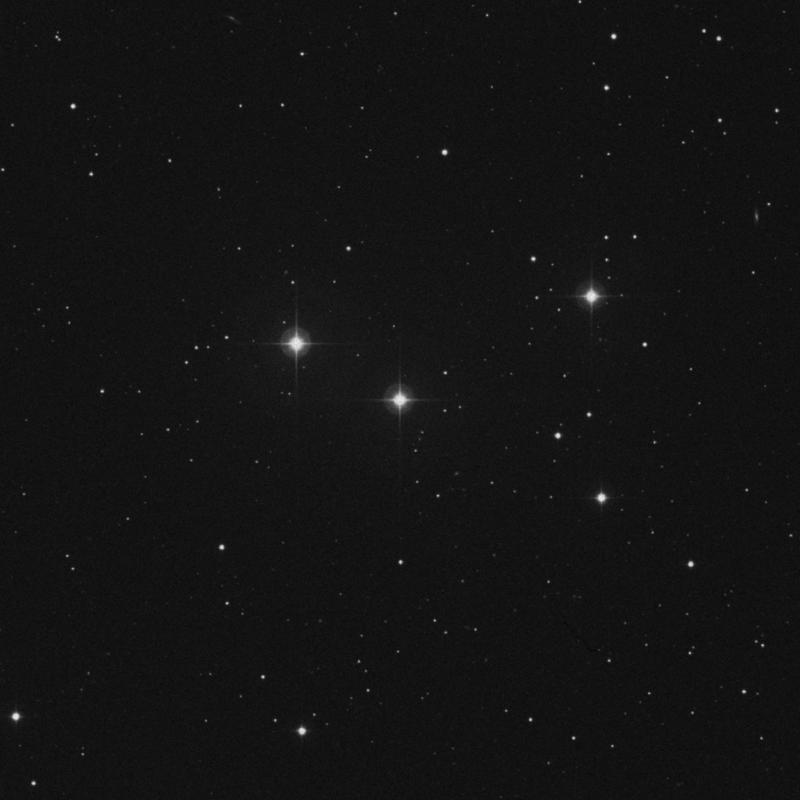 Image of HR5021 star