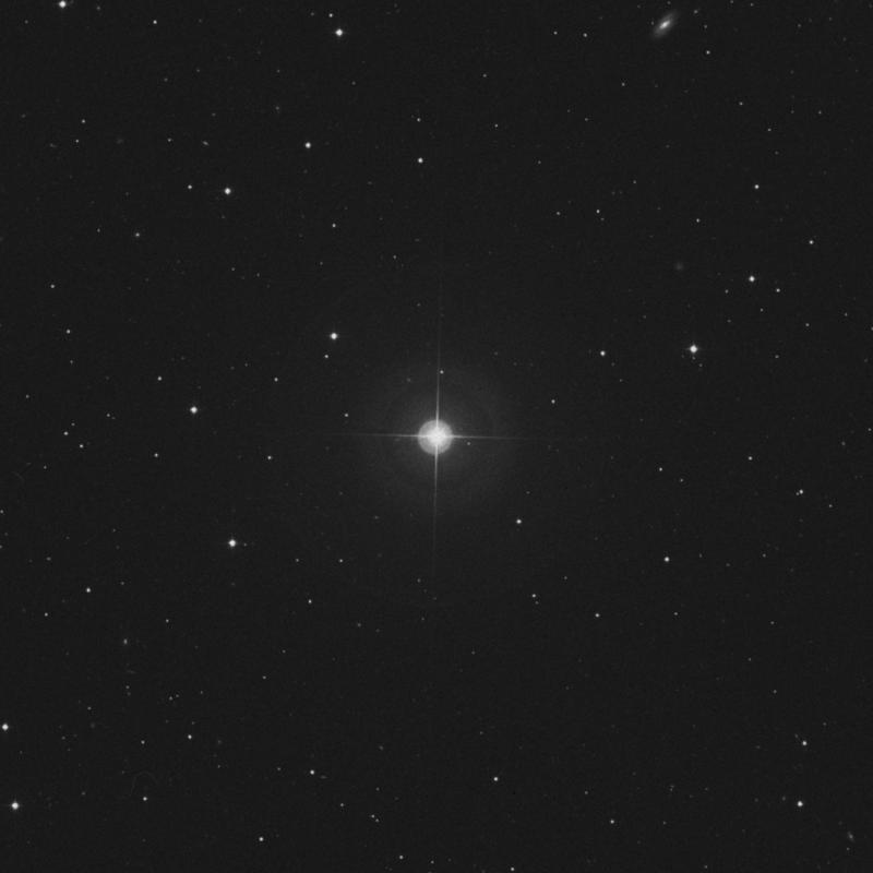 Image of 23 Canum Venaticorum star