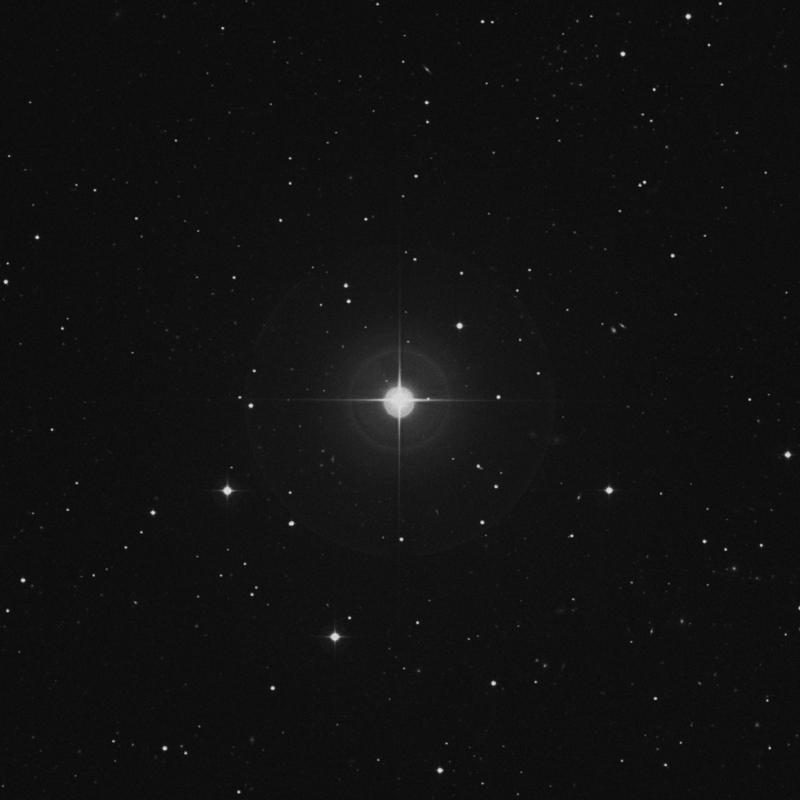 Image of 25 Canum Venaticorum star