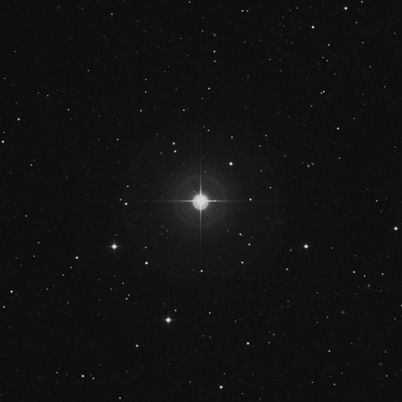 Image of 25 Canum Venaticorum star