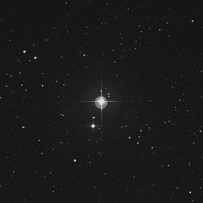 Image of Khambalia - λ Virginis (lambda Virginis) star