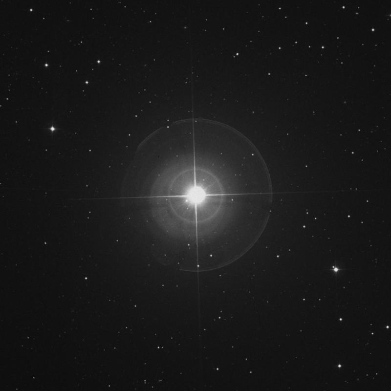 Image of Seginus - γ Boötis (gamma Boötis) star